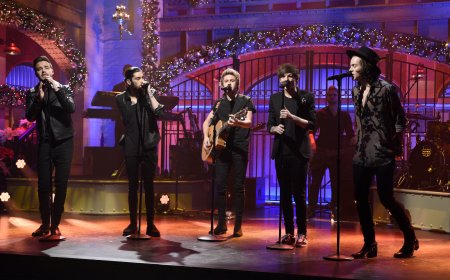 Louis Tomlinson and Zayn Malik to Reunite for Travel Docuseries: Reports