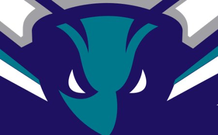 Hornets Sign Ibou Badji, DJ Rodman To Camp Deals