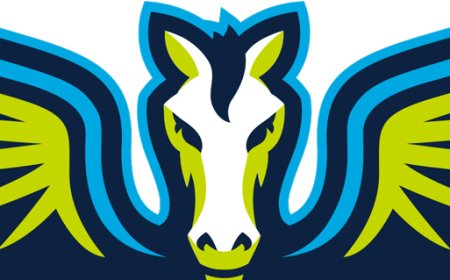 Wings Fire Chris Koclanes After One Season