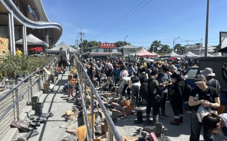 鏟子超人「必帶1神物」防小黑蚊　花蓮人再推：要噴明星花露水