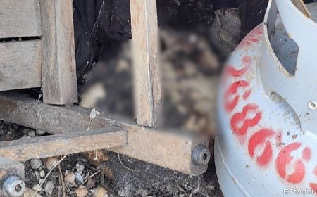 廢棄倉庫驚見一堆白骨「確定是人類的」　DNA鑑定確認身分