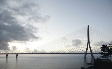 LIFE經典／世界最大單塔不對稱斜張橋明年通車　將成台灣新地標