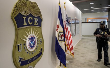 Federal agents nab 1,000+ illegal aliens in major Illinois sweep: ‘Making the state safe again’