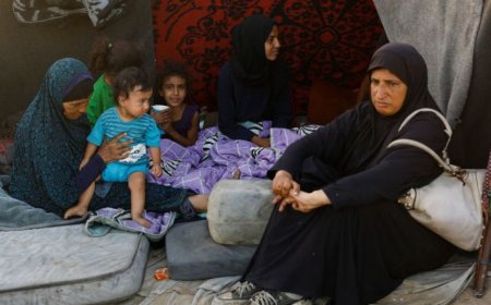 哈马斯如何回应特朗普的加沙协议？特朗普对此作何反应？