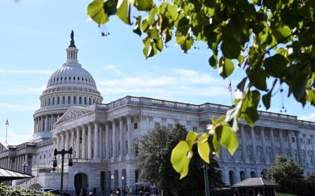 政府停摆导致数据缺失，模糊对美国经济的洞察