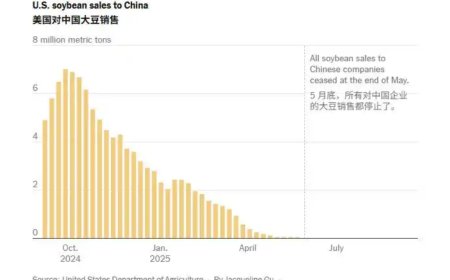 对华大豆出口清零，美国豆农成了MAGA的垫脚石？