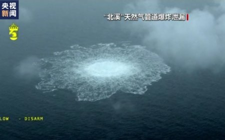 中国不害怕特朗普，给其他国家上了一课