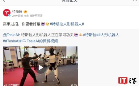 高手过招：特斯拉人形机器人学习功夫视频公布