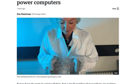 瑞士科学家培育“迷你人脑”，旨在为电脑提供动力