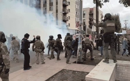 Trump's 'war-ravaged Portland' National Guard deployment halted by federal judge over authority concerns