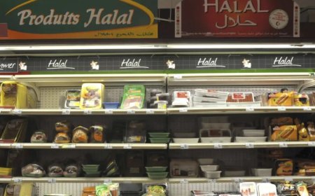 清真食品如何逃脱法国的法律与管制？