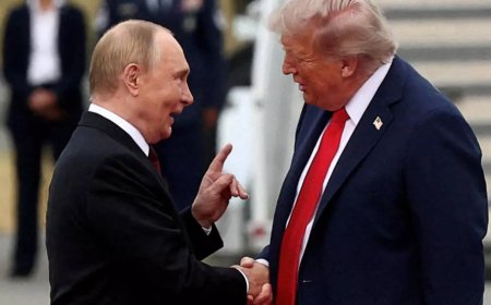 “美国完全有能力阻止加沙的悲剧，但他们选择不作为”