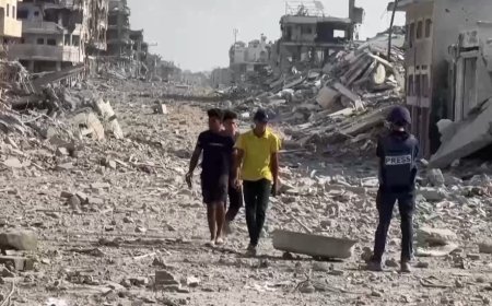 一文解读，哈马斯回应了“20点计划”哪些点？