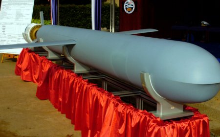 泽连斯基：已与特朗普讨论援乌远程武器