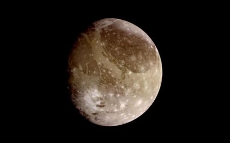 最新研究发现土卫二或可支持生命存在