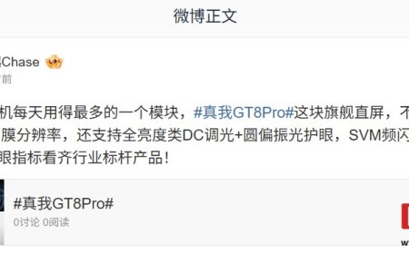 realme 真我 GT8 Pro 手机旗舰直屏支持全亮度类 DC 调光 + 圆偏振光护眼，SVM 频闪 0.07