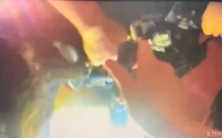 徘徊花博公廁遭保全驅離　男不爽持美工刀錯砍2保全！當場被逮