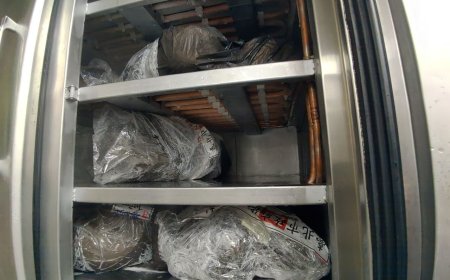 北市封存黑心豬腸145公斤　1圖掌握最新流向