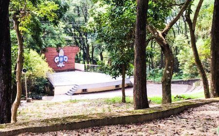 中秋烤肉注意！台中公園亂烤最高噴6千　市府曝「這2處才合法」