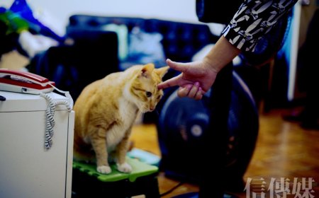 你對誰都好，就是對自己太差：過分善良不是好事！停止取悅，過想要的生活