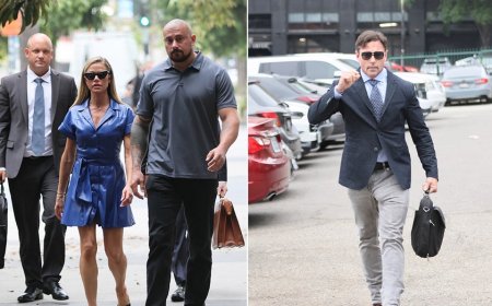 Denise Richards breaks down in court as she recounts shocking alleged abuse