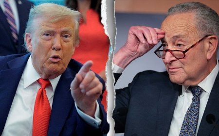 Trump slams Democrats for ‘shutting down’ government, demands it reopen ‘tonight’