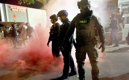 Ex-CNN reporter declares Portland 'a pilot program for normalizing domestic militarization'