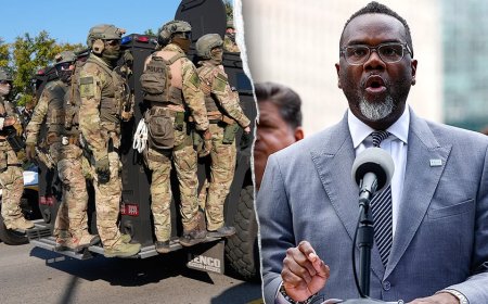 Federal agent says Chicago’s ‘ICE-free zones’ endanger operations, embolden protesters