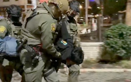 Oregon county DA drops charges against conservative journalist after Portland arrest