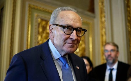 Schumer's shutdown holds as Senate Dems block GOP bid to reopen government