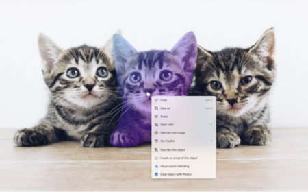 微软推 Win11 Beta / Dev 26x20.6772 预览版：新增“图片对象选择”功能，实现照片中“一键抠图”