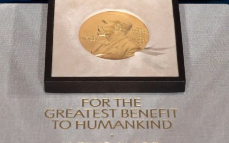 2025年诺贝尔奖：有哪些奖项？何时公布？