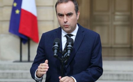 法国总理在宣布新政府的数小时后辞职