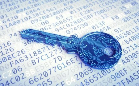 如何保护您的隐私？