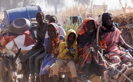 苏丹准军事部队加强围困，北达尔富尔流离失所情况恶化