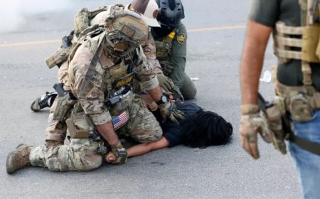 州长抨击“特朗普入侵”，部队部署到伊利诺伊州