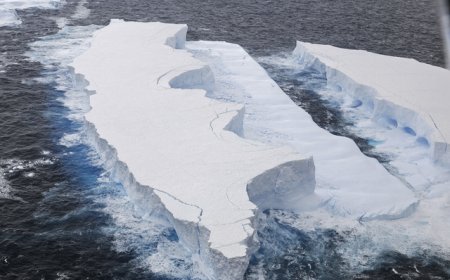 全球最大冰山正在加速解体，或撑不过11月底