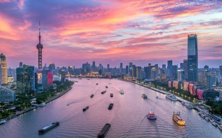 上海文旅多元业态发力，长假前四天游客增长超两成