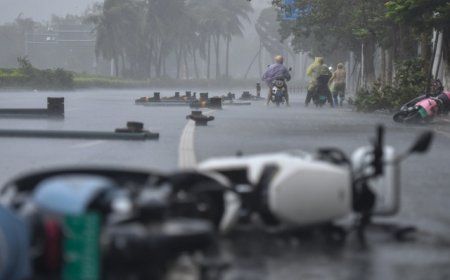 台风“麦德姆”携14级大风登陆广东徐闻，多地发生海水倒灌