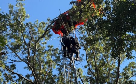 雙人跳傘教練墜亡！　學員「卡15m樹頂」苦撐數小時