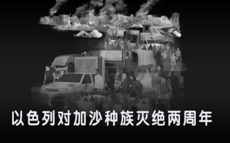 数据统计：以色列对加沙实施种族灭绝已满两年