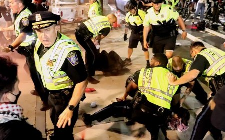 Pro-Palestinian agitators attack police as riot erupts in Dem-run city, officials say