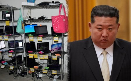 She helped North Korea infiltrate American tech companies