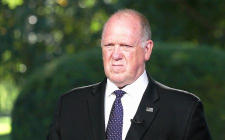 Homan confirms Texas National Guard 'on the ground' in Illinois, warns anti-ICE rhetoric fueling 'bloodshed'