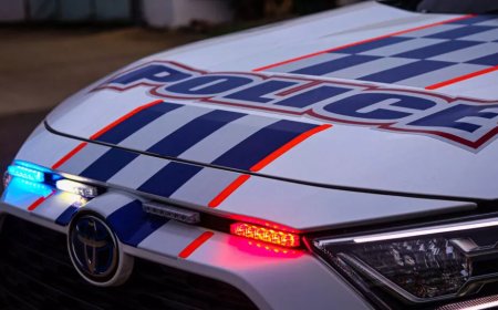 澳大利亚一警局添 400 辆丰田 RAV4 警车，训练时曝电池过热问题