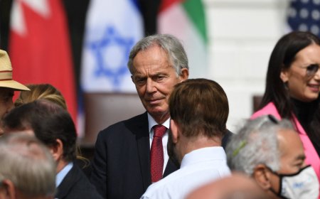 在特朗普计划中选择阿里什作为加沙管理总部的背后有哪些考量？