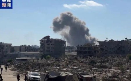 德国左翼党主席：政府应该加大对以色列施压