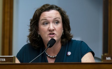 MSNBC panel uses Katie Porter backlash to blast 'double standard' for women in politics