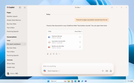 Win11 版微软 Copilot 1.25095.161.0 更新：接入谷歌日历，对话可导出至 Word