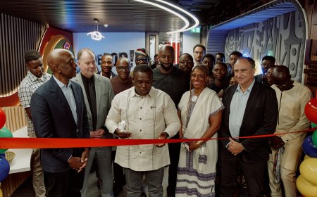 如何像拥有钴、锂一样，非洲也能拥有数据主权？